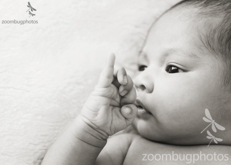 talkTothePinky_bw
