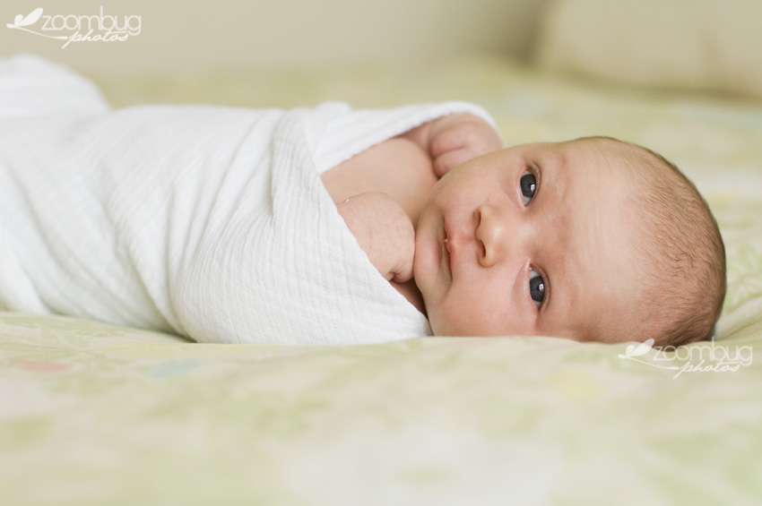 wrappedBaby awake baby girl wrapped